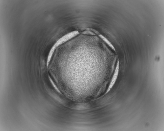 X0000091450087200709061744