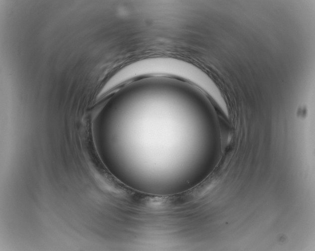 X0000091450088200709061744