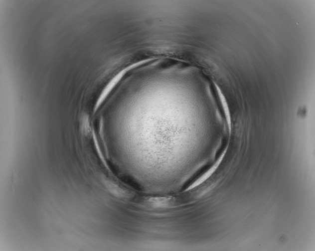 X0000091450089200709061744