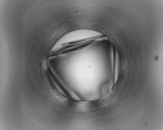 X0000091450090200709061744