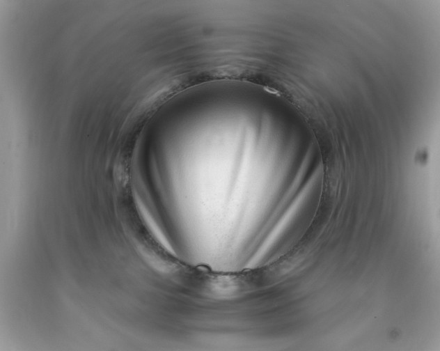 X0000091450091200709061744