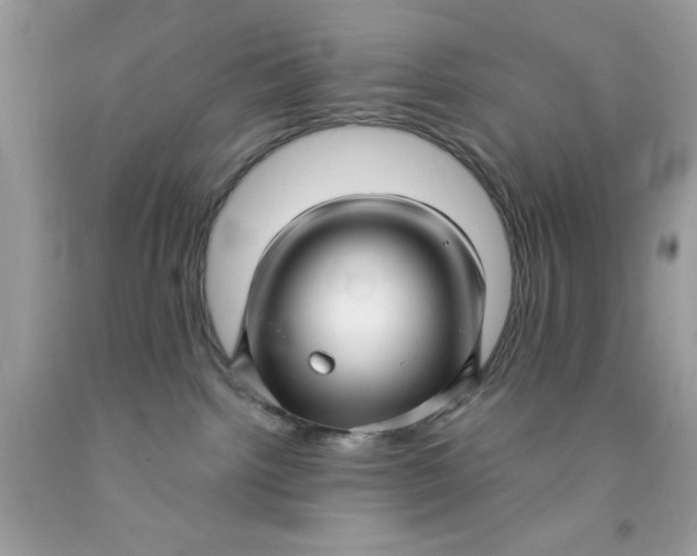 X0000091450092200709061744