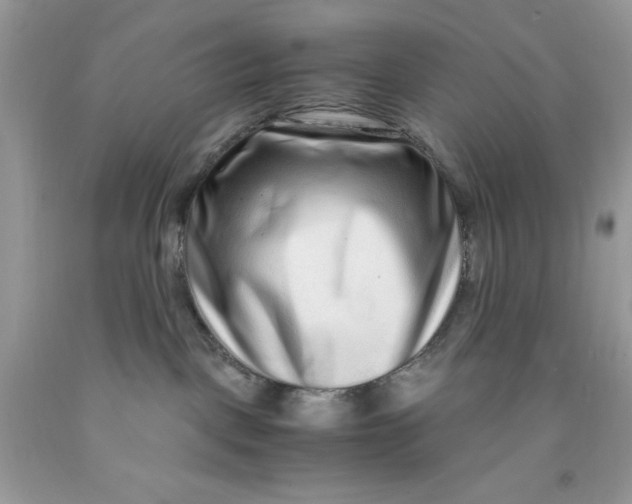 X0000091450093200709061744