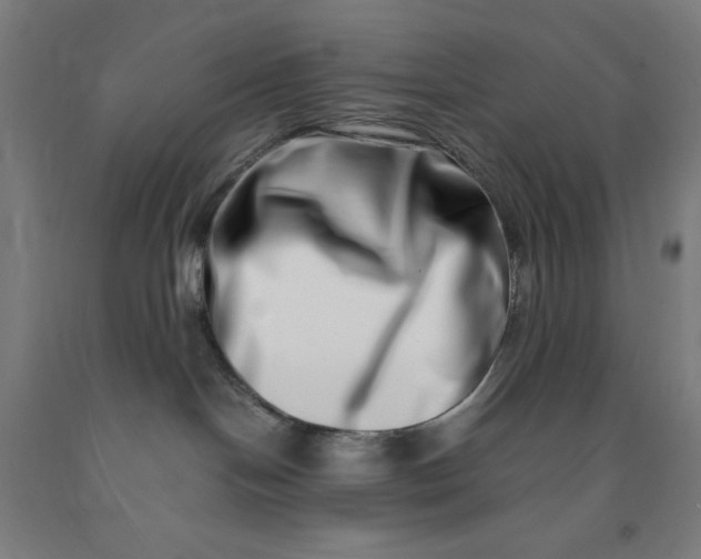 X0000091450094200709061744