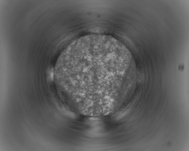 X0000091450095200709061744