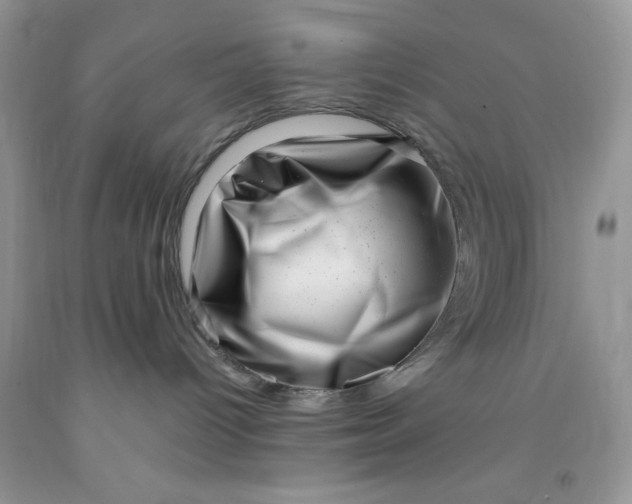 X0000091450096200709061744