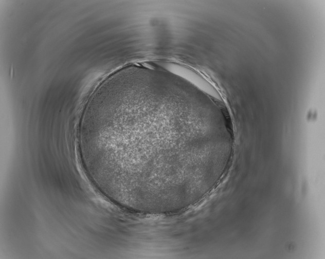 X0000091450097200709061744