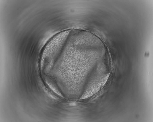 X0000091450098200709061744