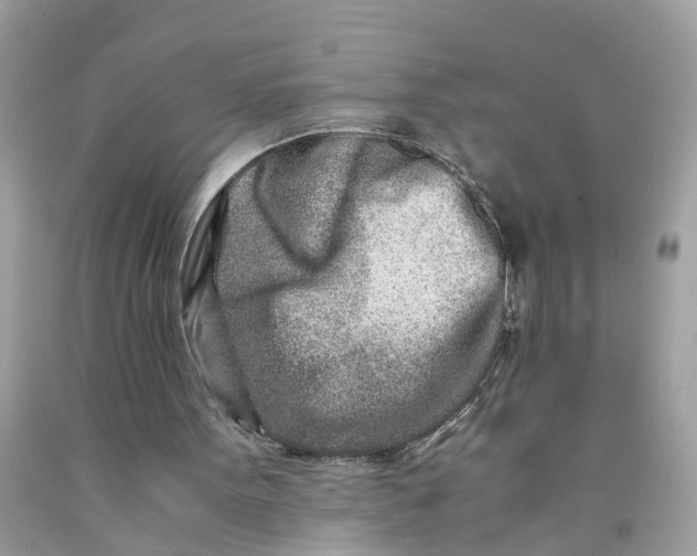 X0000091450099200709061744