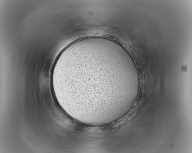 X0000091450100200709061744