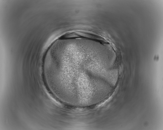 X0000091450101200709061744