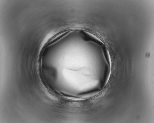 X0000091450102200709061744