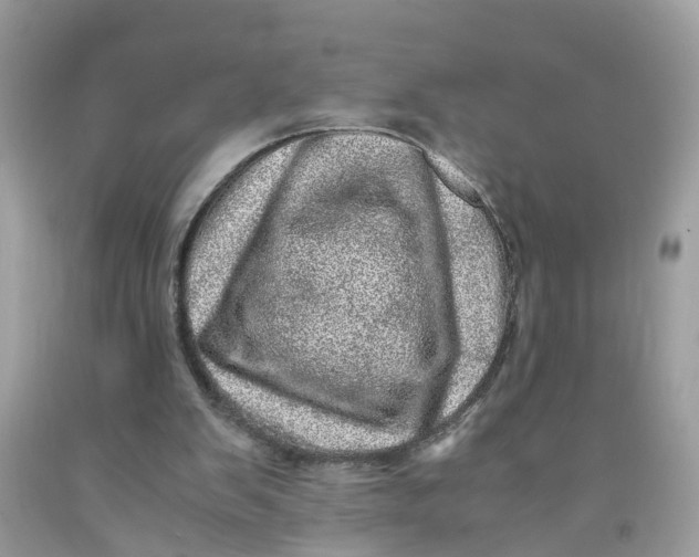 X0000091450103200709061744