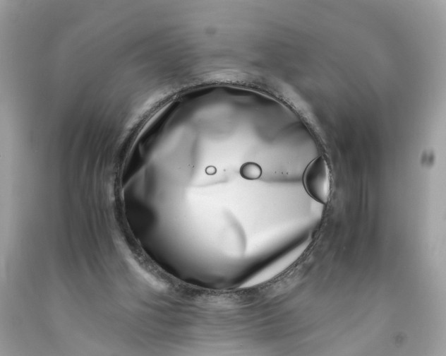 X0000091450106200709061743