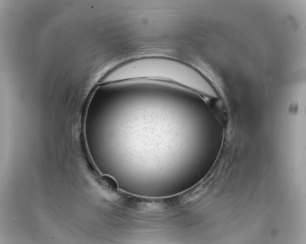 X0000091450107200709061743