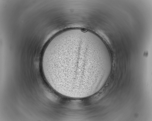 X0000091450108200709061743