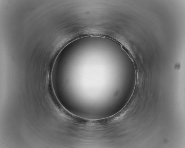 X0000091450109200709061743