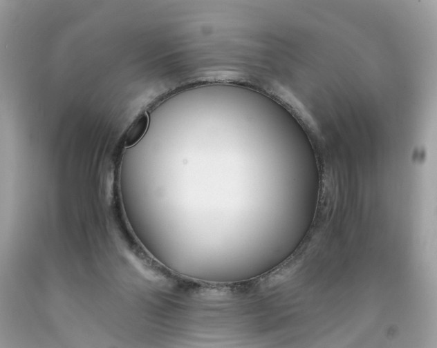 X0000091450110200709061743