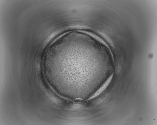 X0000091450111200709061743