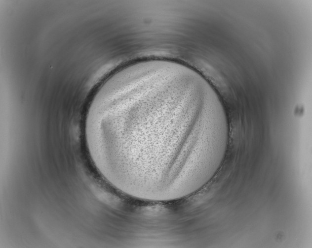 X0000091450112200709061743