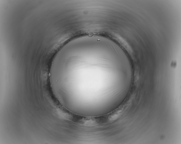 X0000091450113200709061743