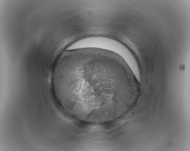 X0000091450115200709061743