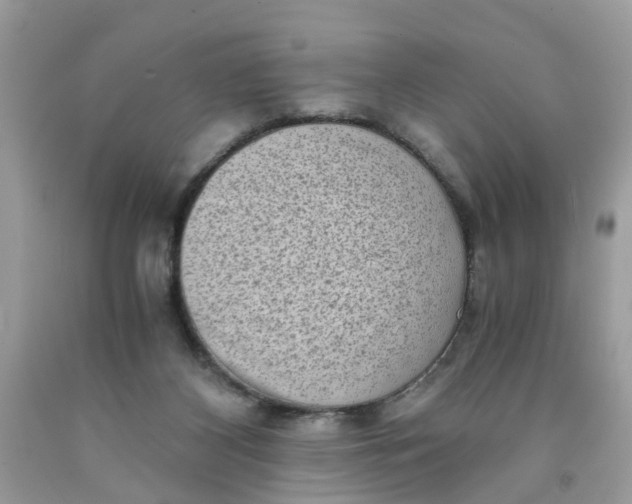 X0000091450116200709061743