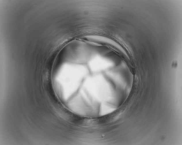 X0000091450117200709061743