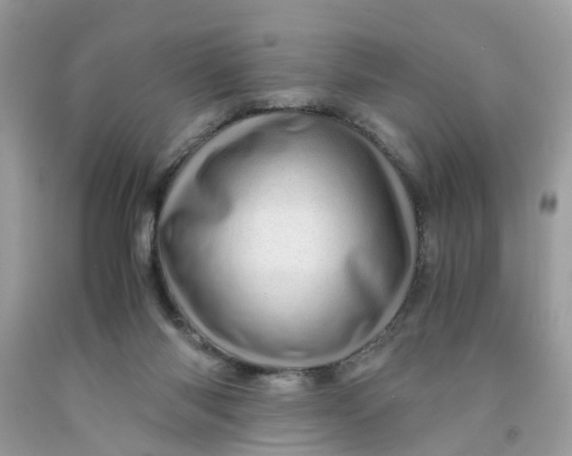 X0000091450118200709061743