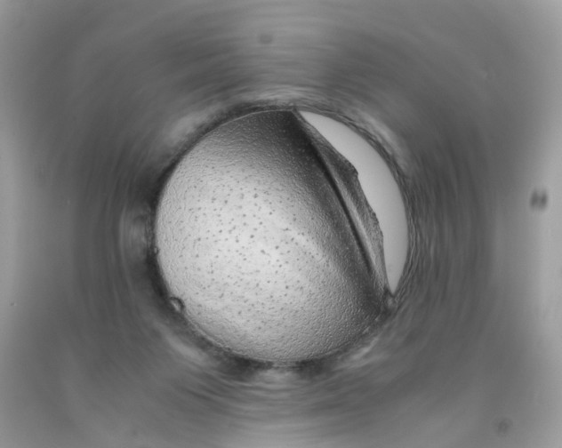 X0000091450119200709061743