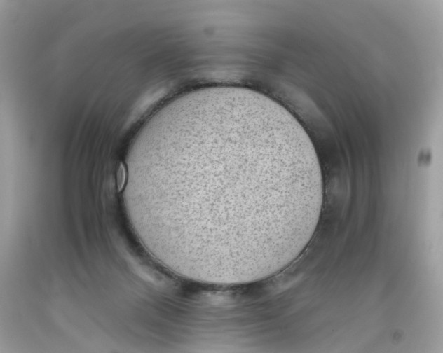 X0000091450120200709061743