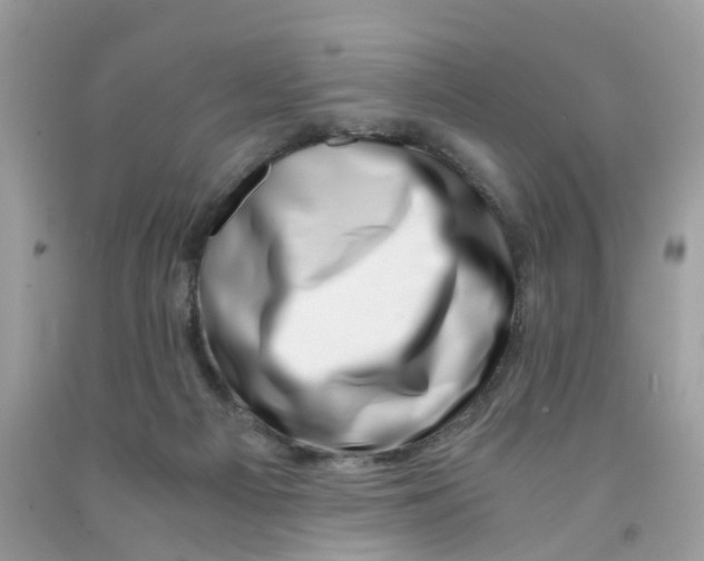 X0000091450121200709061743