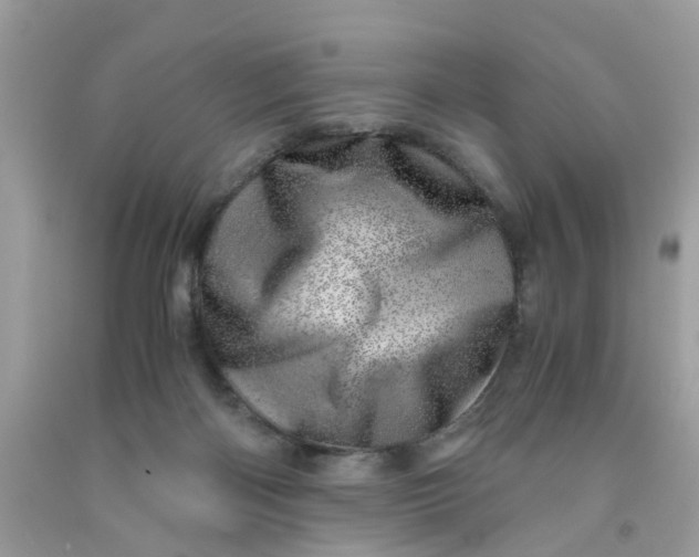 X0000091450122200709061743