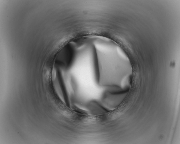 X0000091450123200709061743