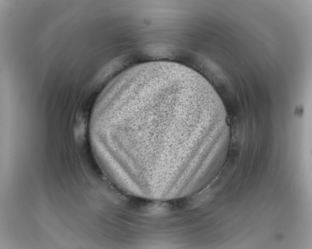 X0000091450124200709061743