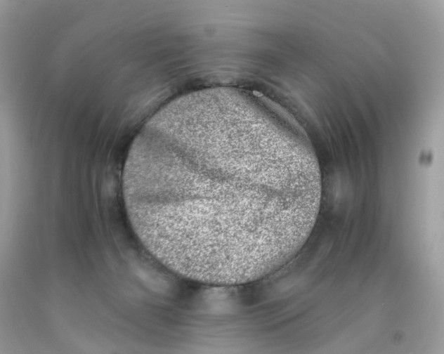 X0000091450126200709061743