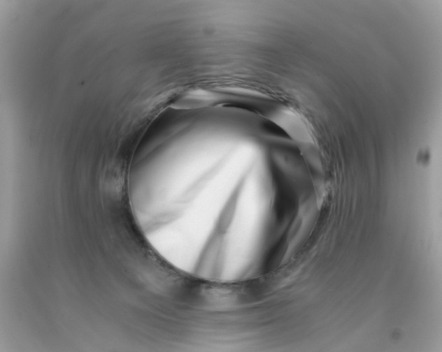 X0000091450129200709061743