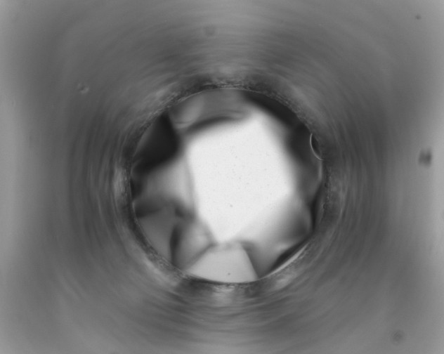 X0000091450130200709061743