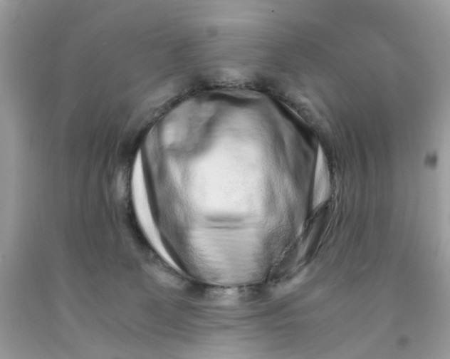 X0000091450131200709061743