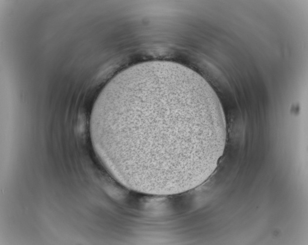 X0000091450132200709061743