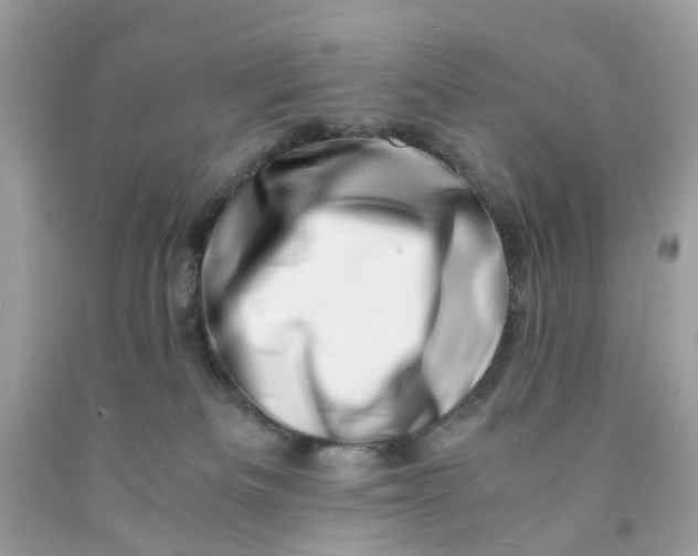 X0000091450133200709061743