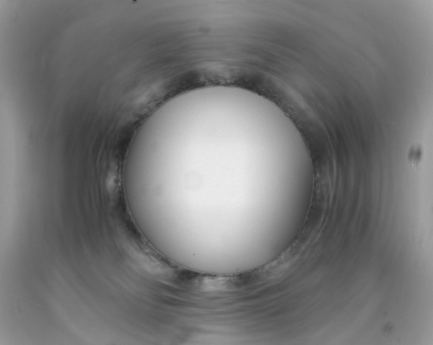 X0000091450134200709061743