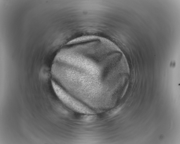 X0000091450135200709061743