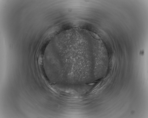 X0000091450137200709061743