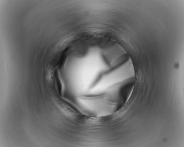 X0000091450138200709061743