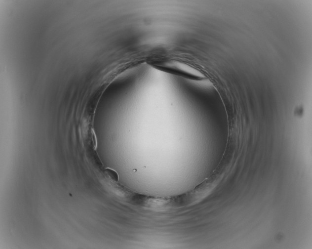 X0000091450139200709061743