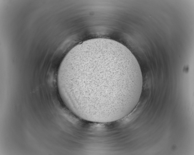 X0000091450140200709061743