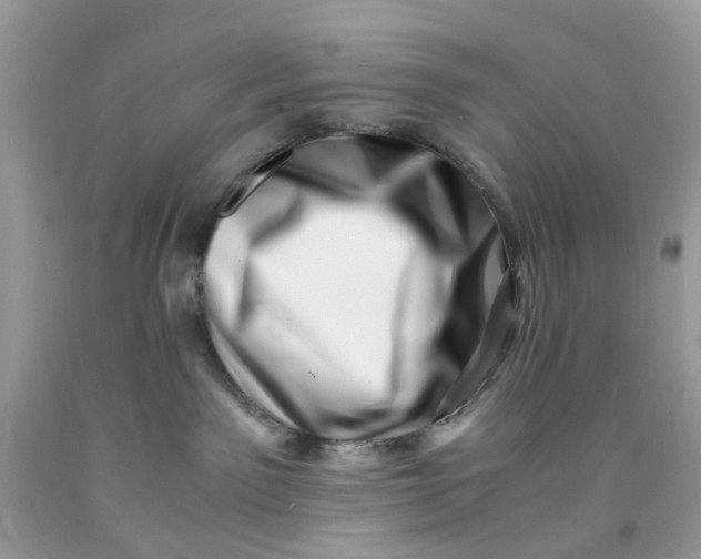 X0000091450141200709061743