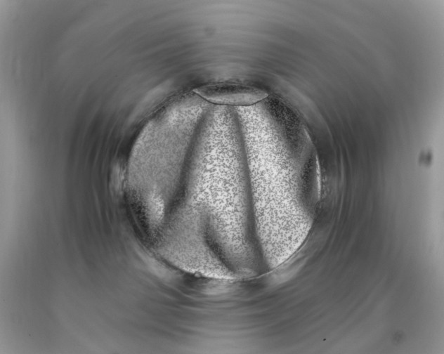 X0000091450142200709061743