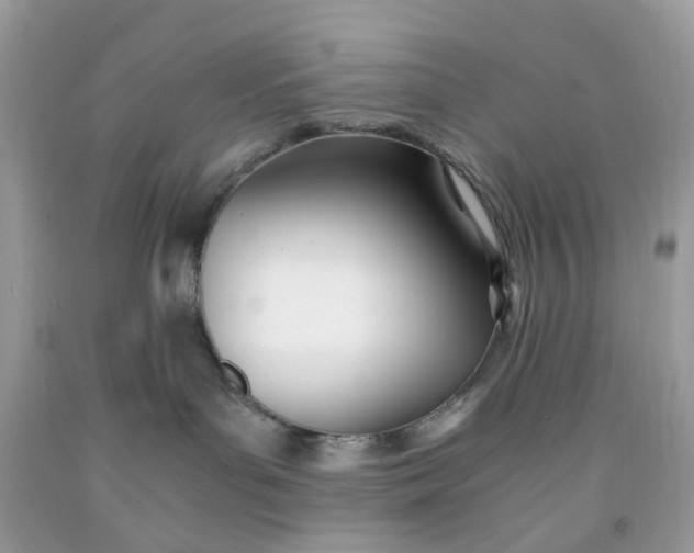 X0000091450143200709061743